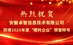 熱烈祝賀安徽卓智信息技術(shù)有限公司獲得2020年度“瞪羚企業(yè)”榮譽(yù)稱號